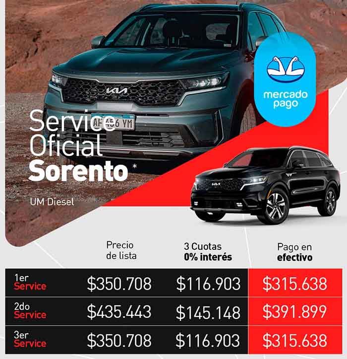 Service Sorento nafta